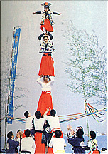 �吼���t�Ղ�