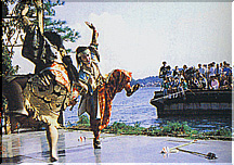 �������̑D�x��